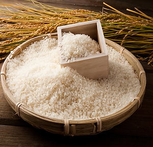 令和5年産 　森のくまさん　無洗米　5ｋｇ　白米　新米　お米　熊本県産　米　ヒノヒカリ　コシヒカリ