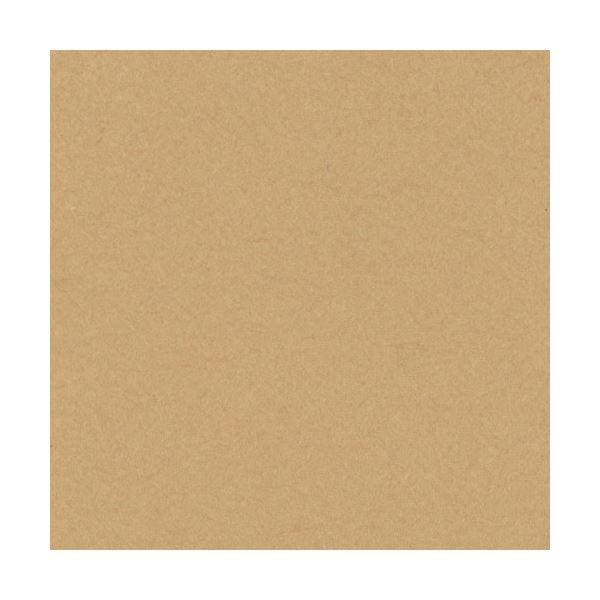 （まとめ）リンテック ニューカラーR 八つ切 うすちゃ 8NCR-109 100枚[x3] 6,367円