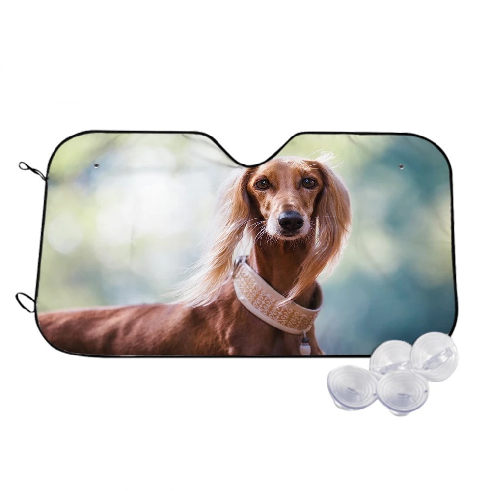 犬-動物-ペット-かわいい-自然 太陽耐熱性を遮断し