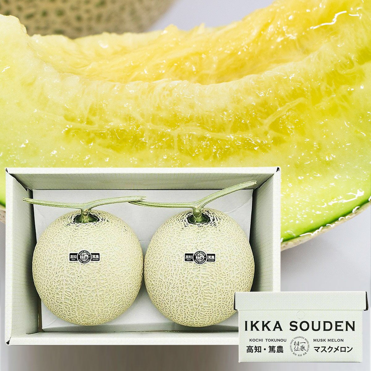 マスクメロン ギフト 高級 2玉 合計2.8kg (1.4kgx2玉) 良品 産地直送 高知県産 贈答用 産直 常温便 同梱不可 指定日不可