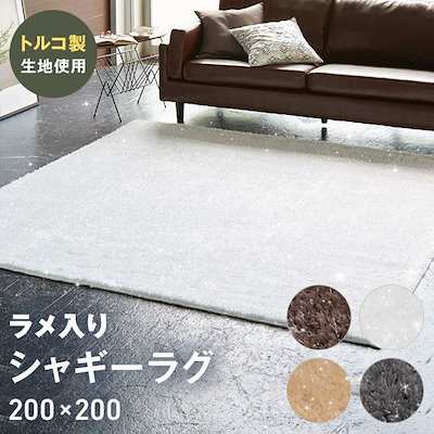 大型 アガベ 耐寒 現品 匿名配送 【公式通販】