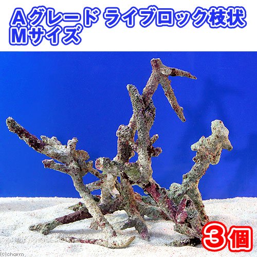 （海水魚）Ａグレードライブロック　枝状Ｍサイズ（３個）（形状お任せ）　北海道・九州航空便要保温　ＣＲＣ26―55―50―40―00