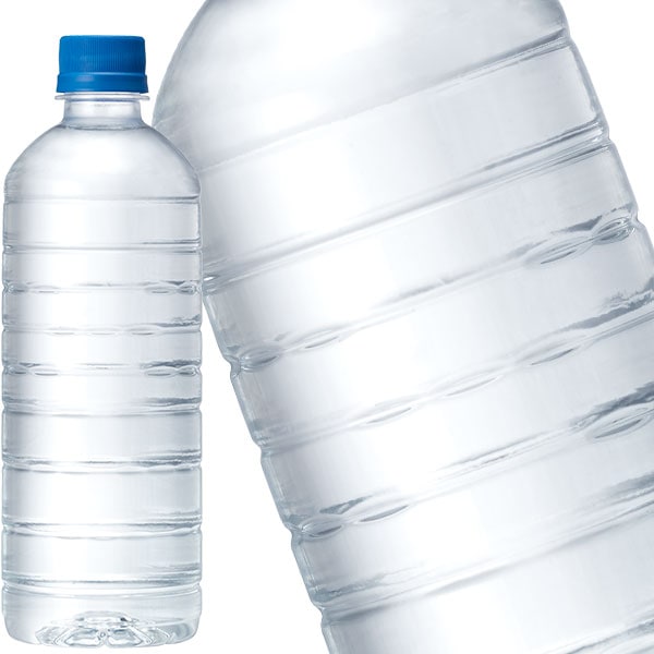 キリン 自然が磨いた天然水 ラベルレス 600mlPET48本[24本2箱]【34営業日以内に出荷】