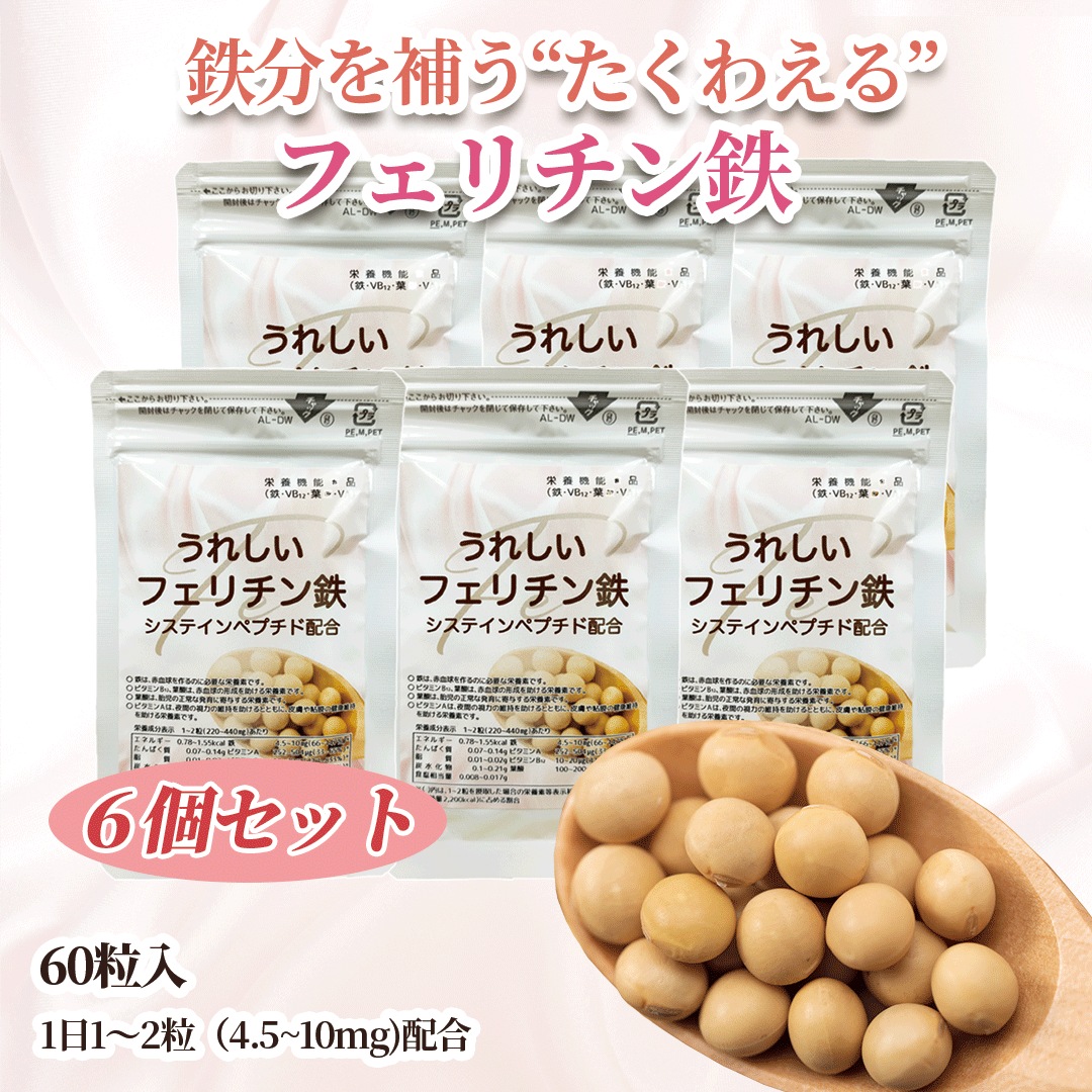 【６袋セット】　鉄分 葉酸サプリメント 「うれしいフェリチン鉄 60粒×6袋」