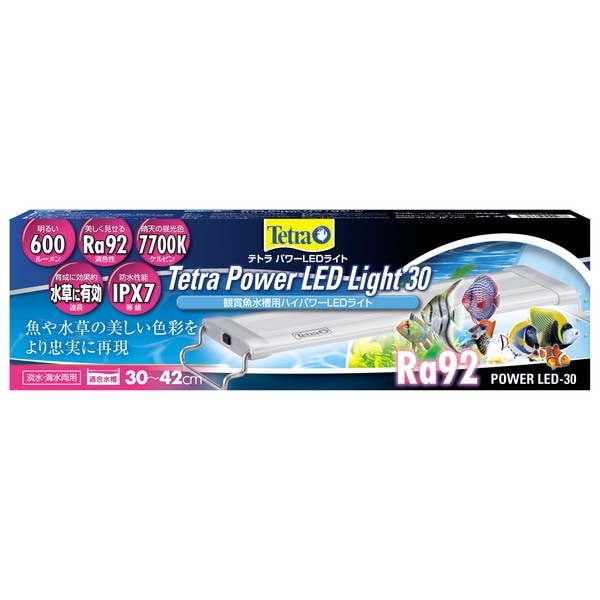 パワーLEDライト 30