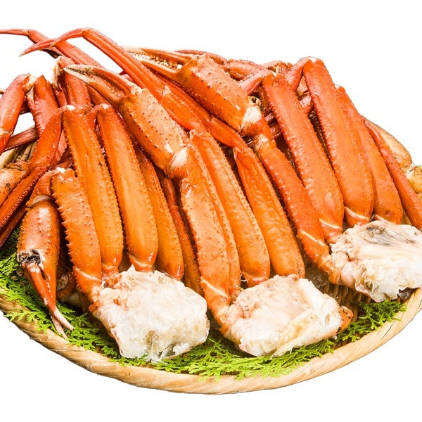 4.8kg ボイルトゲズワイ肩付き脚 トゲズワイ トゲズワイガニ ずわいがにボイル とげズワイ カニ肩付き脚 ボイルズワイ かに茹で済