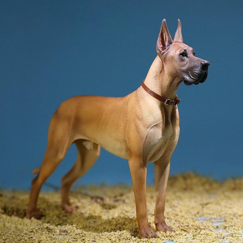 Mr.Z 1/6 サイズ グレートデーン 犬 動物 リアル フィギュア PVC プラモデル プレミアム 大人のおもちゃ 模型 26.5cm オリジナル スタチュー プレゼント 置物