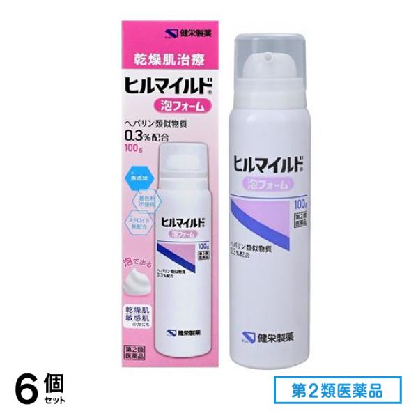 第２類医薬品 ヒルマイルド泡フォーム 100g 6個セット