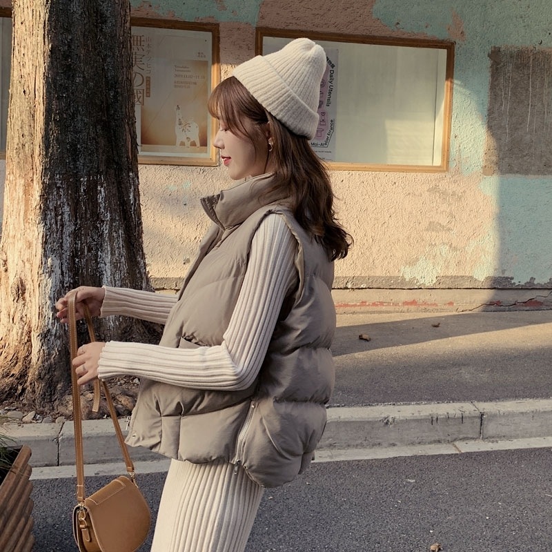 アウター ベスト ジャケット 上着 ダウン レディース ダウンベスト フェイクダウン 防寒 ショート丈 ポケット 前開き 厚手 シンプル カジュアル 大人 おしゃれ とろみ感 秋 冬 お出かけ 休日 5,111円