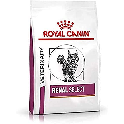 ロイヤルカナン　猫用　腎臓サポート　フィッシュテイスト 　85g × 24袋 ロイヤルカナン】〈猫用〉腎臓サポートフィッシュテイスト