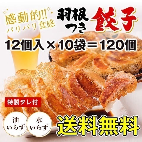 お取り寄せ餃子 お取り寄せ 餃子 送料無料 羽根つき餃子12個入10袋セット ギョウザ ギョーザ大阪