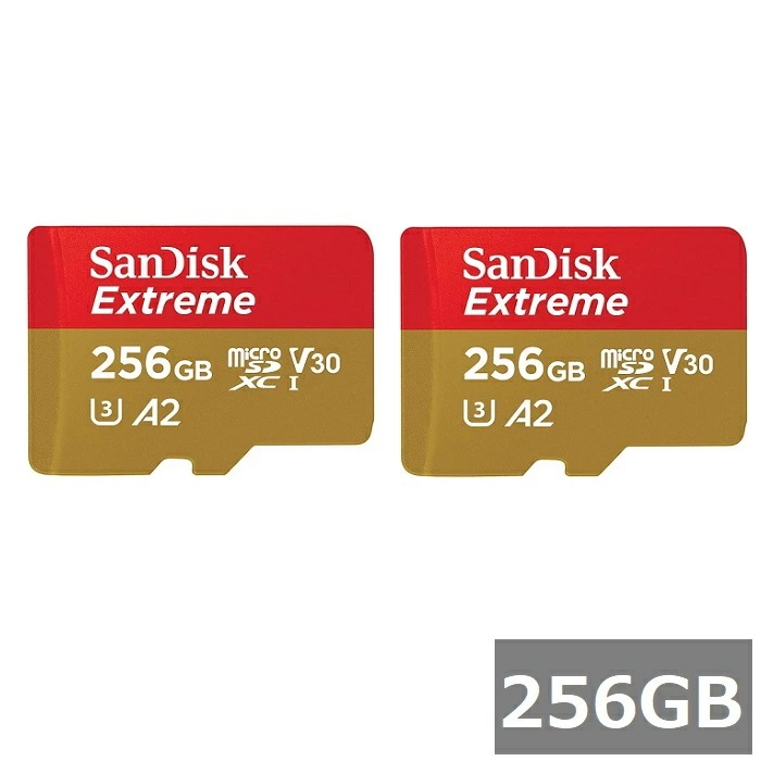 【2セット】 サンディスク マイクロSD MicroSDXC SDSQXAV-256G-GN6MN Extreme 256GB Sandisk マイクロSDXCカード microSDカード C