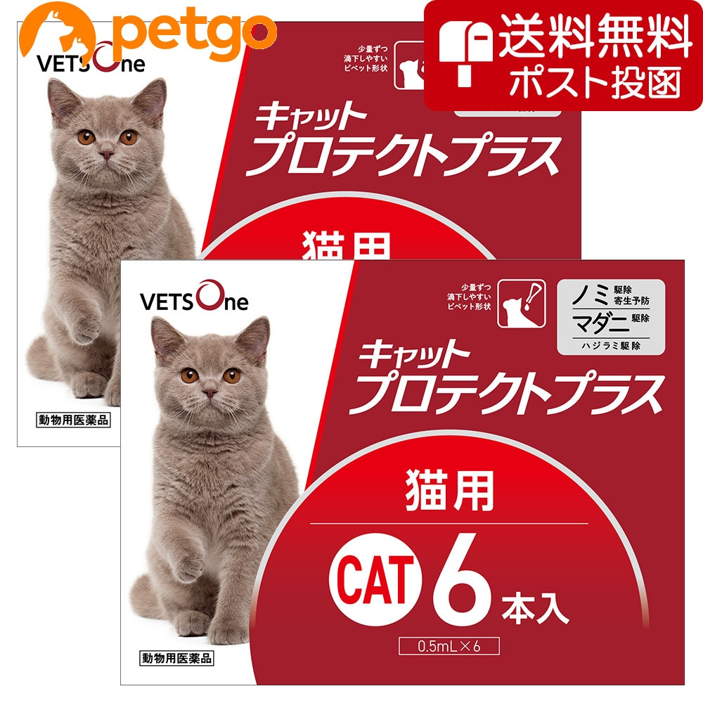 【ネコポス(同梱不可)】【2箱セット】ベッツワン キャットプロテクトプラス 猫用6本(動物用医薬品)