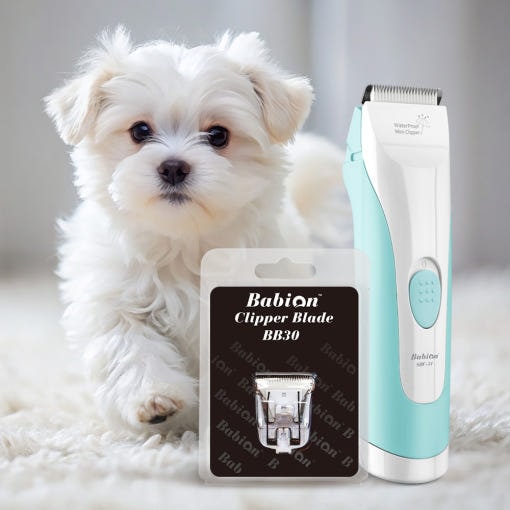 [韓国公式/正規品]バビオンバリカン SBC-31+追加基本の日 ペット 犬 猫 バリカン コンボ