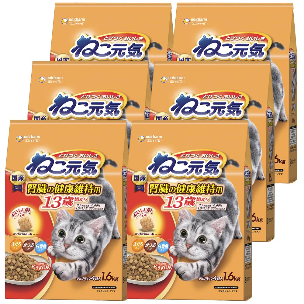 当日発送 ねこ元気 キャットフード 腎臓の健康維持用13歳が近づく頃から 1.6キログラム (x 6) (まとめ買い)