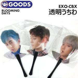 即日[ EXO-CBX 透明うちわ / BLOOMING DAYS ver. ] エクソ チェンベクシ チェン ベッキョン シウミン SMTOWN  SUM 公式グッズ