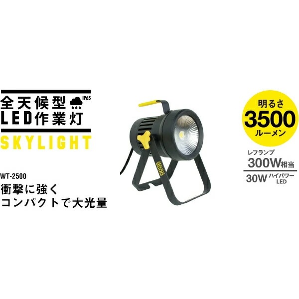 作業灯 頑丈 LED 明るい!3500ルーメン WT-2500 全天候型LED投光器スカイライト30W コンセント式 防水 ムサシ RITEX ライテックス