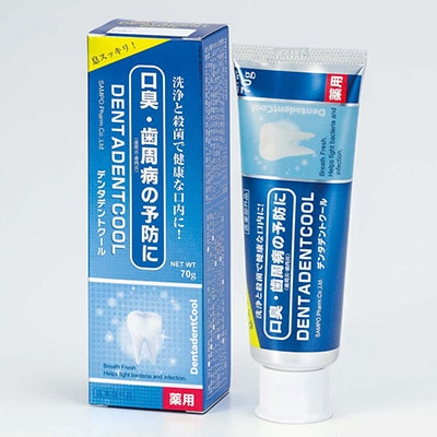 【10個セット】デンタデントクール　DENTADENTCOOL　70g【歯磨き粉】