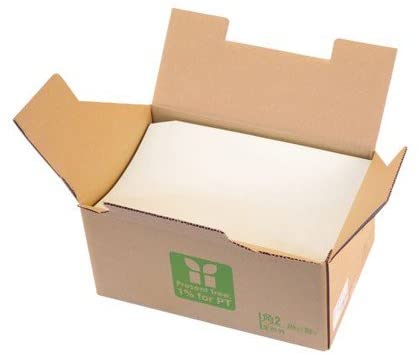 （まとめ買い）寿堂 カラー上質封筒 角2/500枚 若草 ワカクサ 02312 [x3]