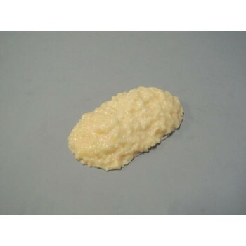脂肪模型　500g　IP-969