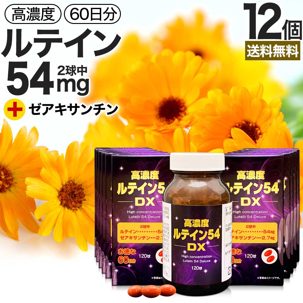 高濃度ルテイン54DX 120球*12個 約720日分 ルテイン ゼアキサンチン マリーゴールド カロテノイド 緑黄色野菜 サプリ サプリメント カプセル