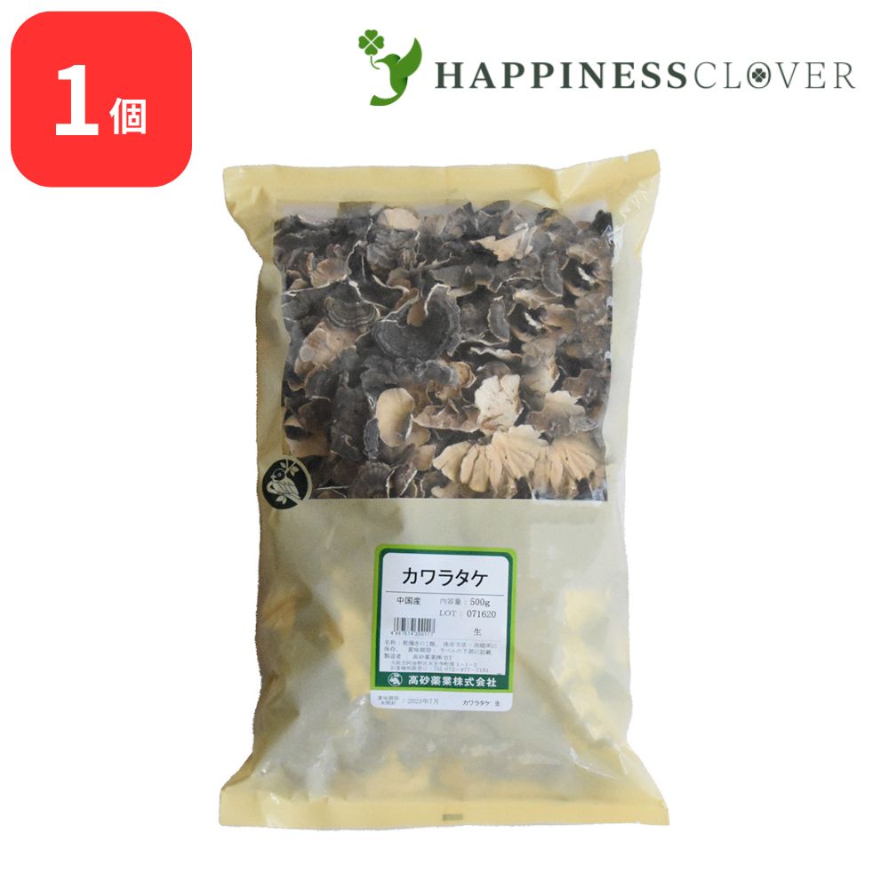 カワラダケ 瓦茸 生 500g 高砂薬業 カワラタケ