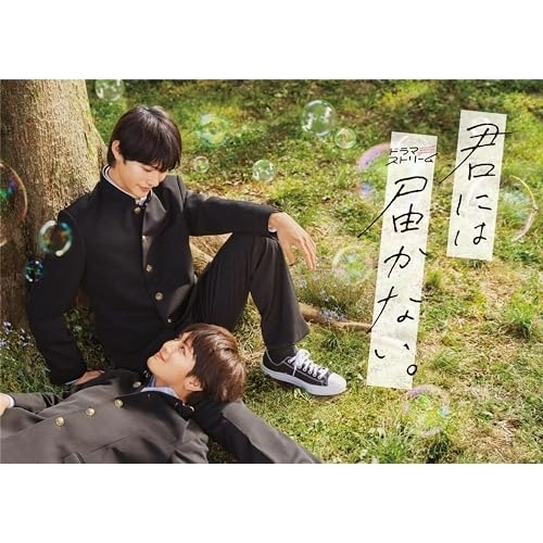 君には届かない Blu-ray BOX(Blu-ray Disc) ／ 前田拳太郎/柏木悠 (Blu-ray) TCBD-1538