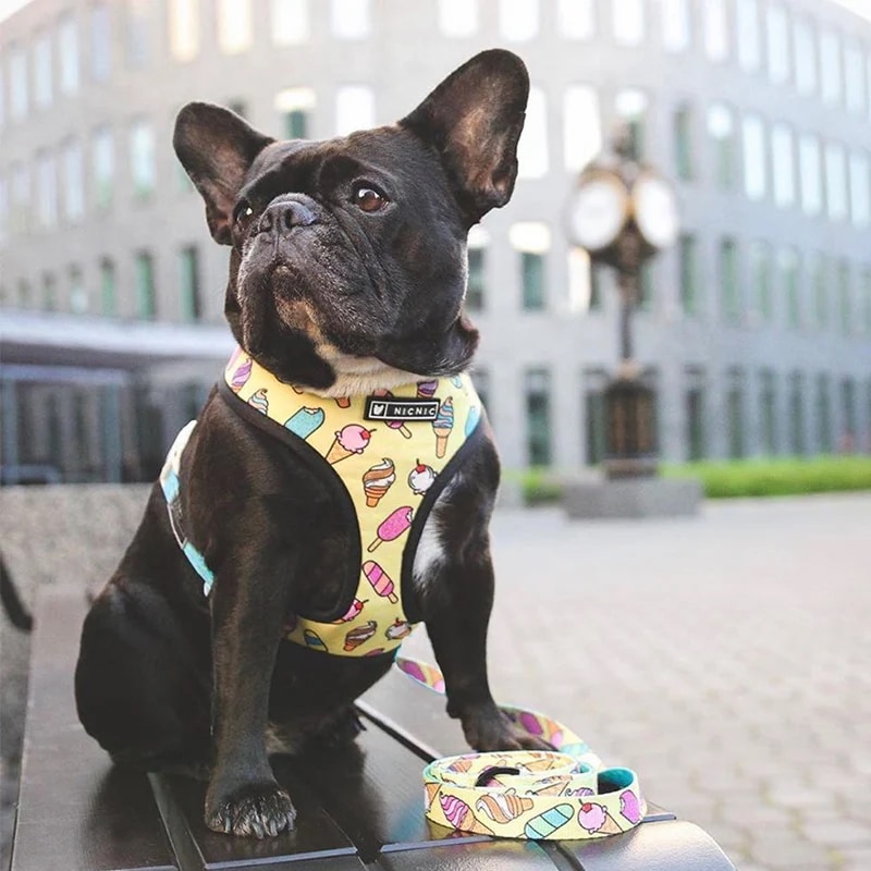 ペット用ハーネス,犬と猫用の通気性のあるハーネス,ブルドッグ用のペットハーネス,屋外ウォーキング用品