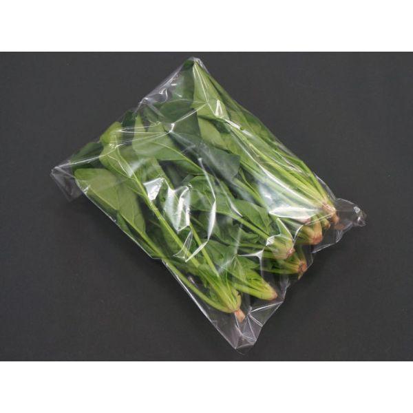 フォームキング FOAM KING × オタマジャクソン2種 フォームキング FOAM KING × オタマジャクソン2種