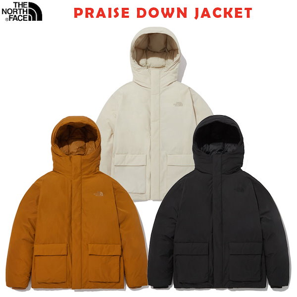 THE NORTH FACE ザ ノースフェイス SIMPLE MINI BAG シンプル ミニ バッグ ショルダー ポシェット 鞄 カバン コンパクト 小さめ 小さい ポケット ポーチ クロスボディー 財布 スマホショルダー 正規品 NN2PN52