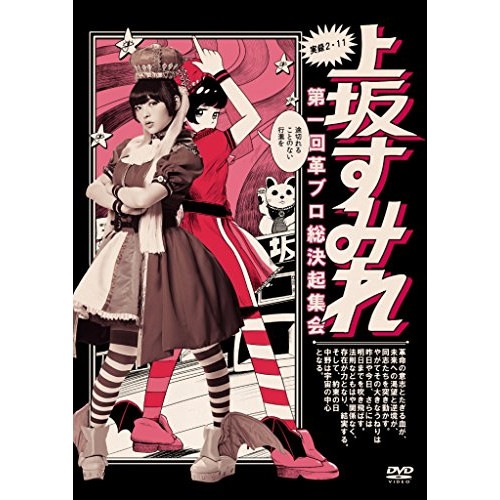 実録・2.11 第一回革ブロ総決起集会 ／ 上坂すみれ (DVD) KIBM-441 5,283円