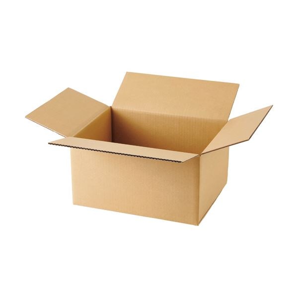 （まとめ）TANOSEE 無地ダンボール箱 B4ワイド判対応サイズ 高さ220mm 1パック（10枚） 5セット