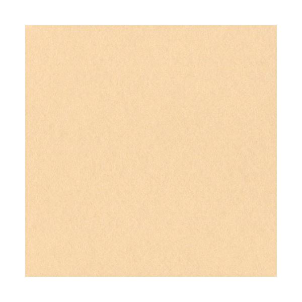 （まとめ）リンテック ニューカラーR 八つ切 しらちゃ 8NCR-111 100枚[x3] 6,294円