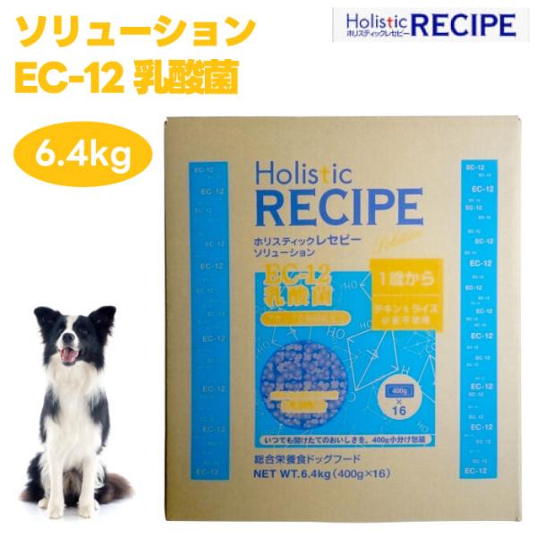 Holistic RECIPE ホリスティックレセピー ソリューション EC-12 乳酸菌 6.4kg ドッグフード 犬用 餌