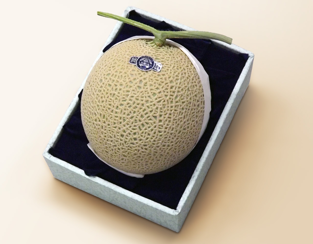 【静岡県産アローマ マスクメロン 1玉（約1.4kg) 林フルーツ】