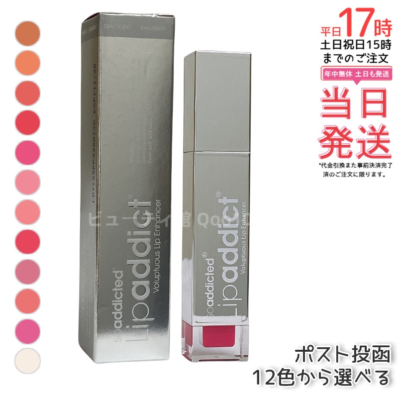 リップアディクト Lip addict 正規品 サロン リップグロス リップカラー 乾燥 保湿 パラベンフリー ハリ感 ベタつかない ナチュラル