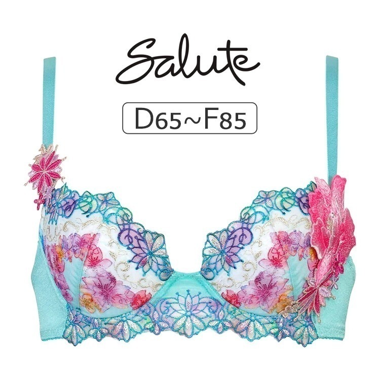 ワコール サルート 50G ブラジャー単品 P-upタイプ DEFカップ アンダー65/70/75/80/85cm BTJ450