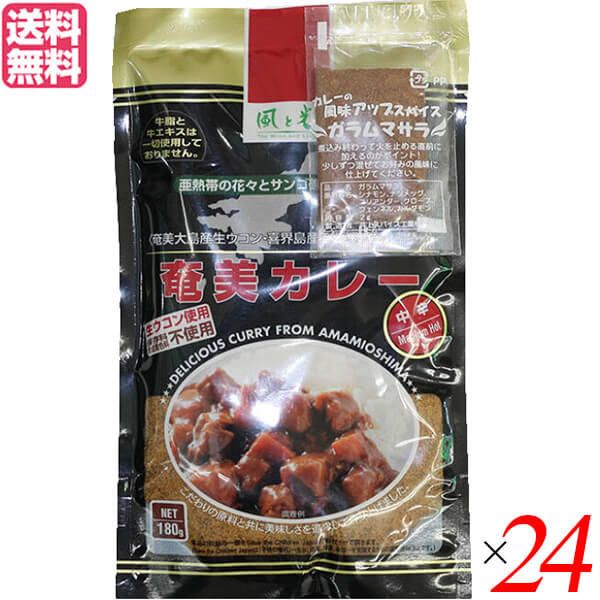 カレー カレールー レトルト 風と光 奄美カレー 中辛 180g 24袋セット