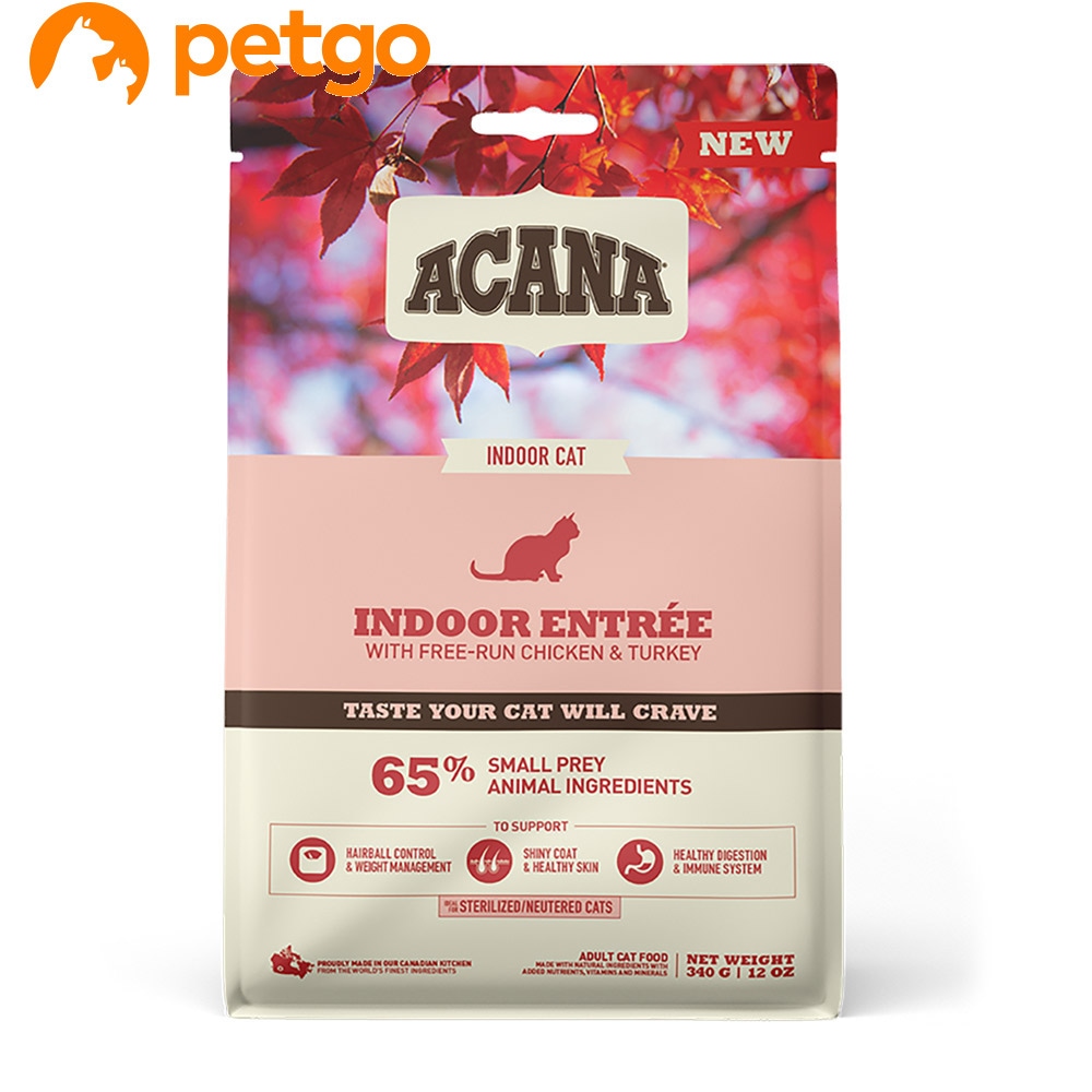 �C���h�A�G���g���[�L���b�g 340g