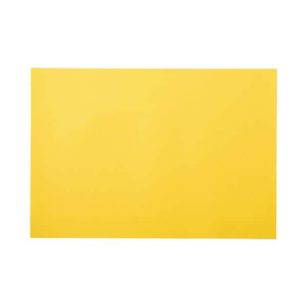 （まとめ）リンテック ニューカラーR 四つ切 ひまわり 4NCR-318 100枚[x5] 13,022円