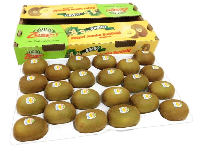 =サンゴールドキウイ= 22-27玉 約3kg 予約 4月下旬以降 5,222円