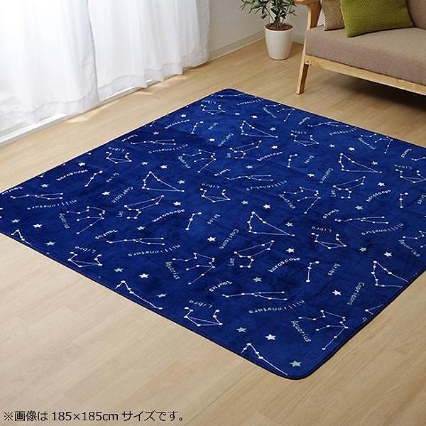 ラグ カーペット ホットカーペットカバー WSミリオン　RUGネイビー約200250cm 9809983