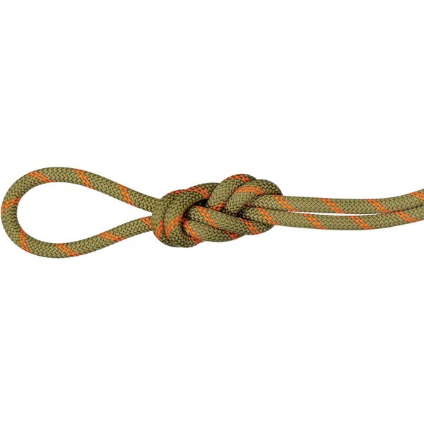 MAMMUT マムート 8.0 Alpine Dry Rope アウトドア アクセサリー 201004350B-11240