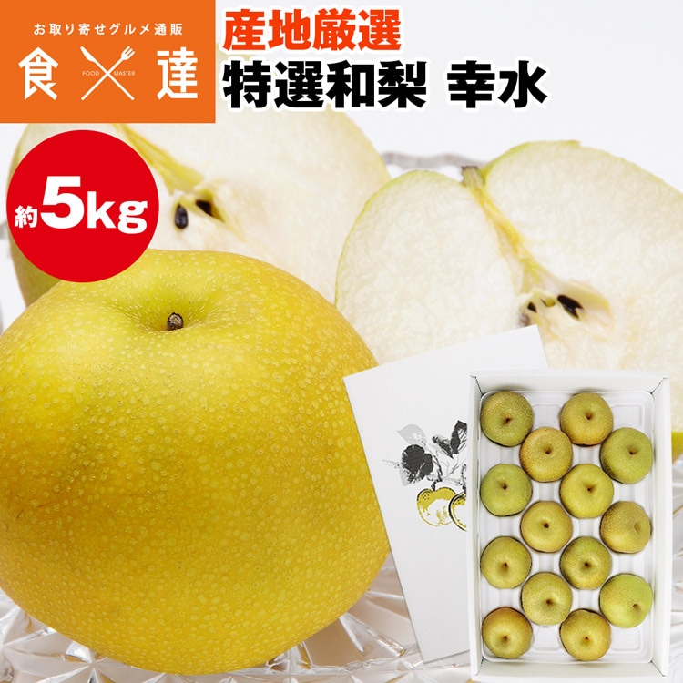 梨 幸水 5kg 10-16玉 2L-5Lサイズ 青秀以上 産地厳選 贈答用 ギフト 和梨 三水 ナシ こうすい 冷蔵便 同梱不可 指定日不可