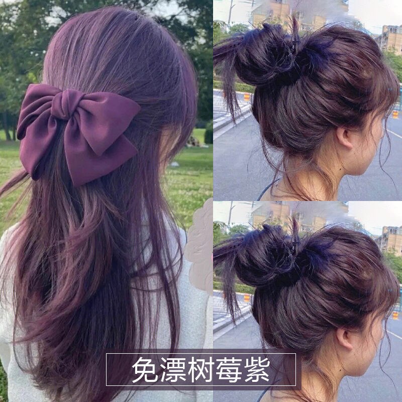 ラズベリーパープル 染毛剤 フリーブリーチ 2025 人気カラー 学生会 天然 植物 自家染め 家庭用 白