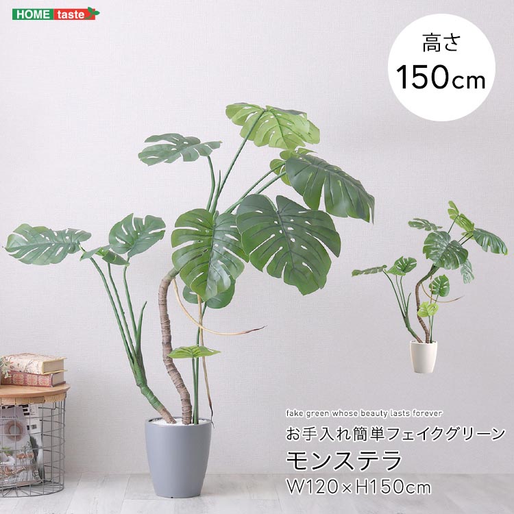 お手入れ簡単 フェイクグリーン モンステラ Mサイズ 150cm 鉢付 人工観葉植物 鉢カバー不要 造花 リアルさを追求 新生活 引っ越し 家具 インテリア 模様替え