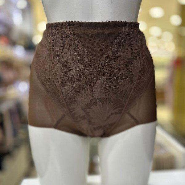 ジャカードレースの人工シルク三角ガードル GR3517S-DBR_DG