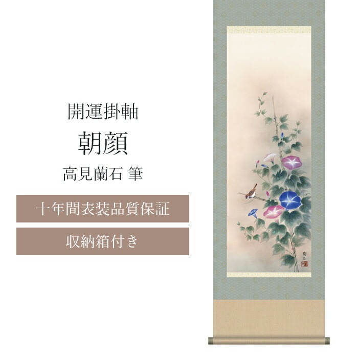 【十年間表装品質保証】掛け軸 朝顔 高見蘭石筆 開運掛け軸 年中掛け 尺五 尺五立 44.5×164cm 和モダン モダン おしゃれ 床の間 玄関 和室 リビング 開運画 夏 春 花 成長 発展