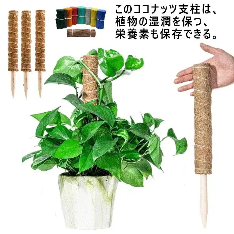 支柱 3点セット モンステラ 支柱 ココナッツ支柱 園芸 観葉 植物 支柱 植物支柱 ココスティック ココナッツパームスティック 棚 土 天然 ココナッツ フラワースタンド ガーデニング用支柱