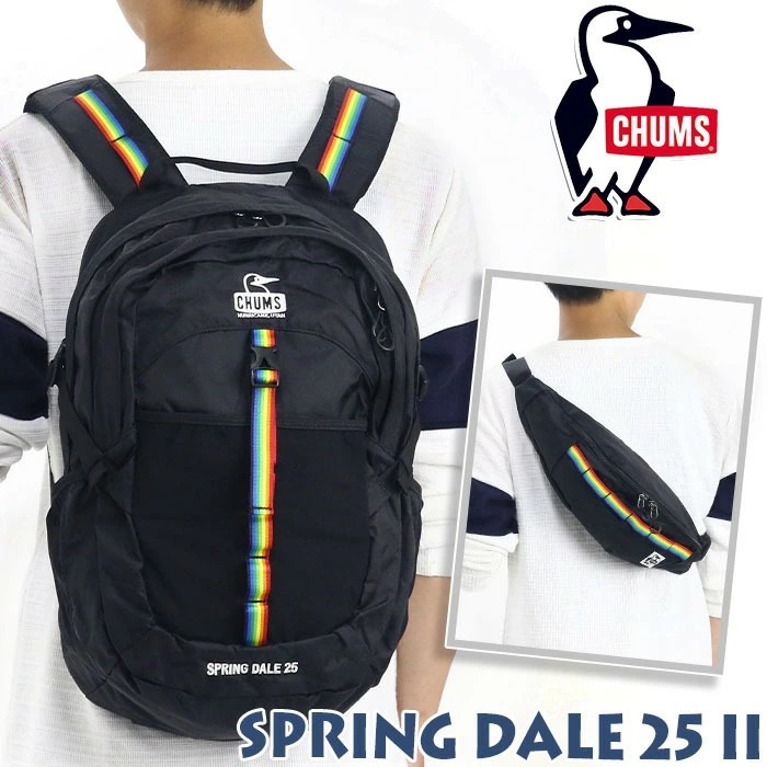 リュック 正規品 メンズ レディース リュックサック デイパック バックパック ユニセックス 通勤 通学 旅行 Spring Dale 25 ll スプリングデール 25L A4 CH60-3997